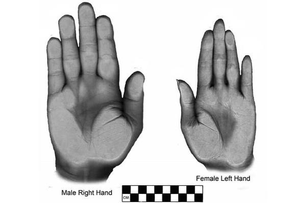 What is the average male finger length?